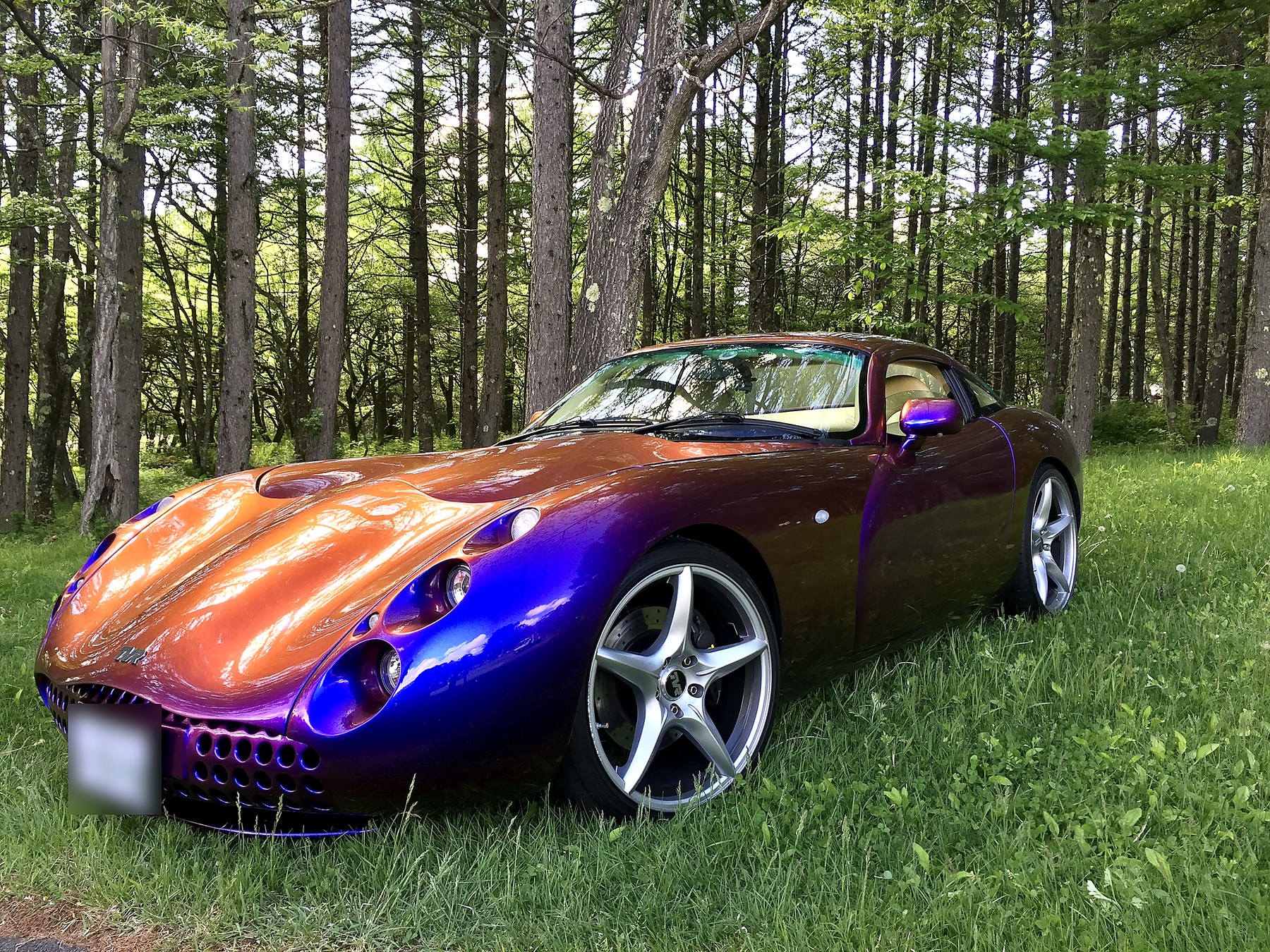 Shotgunさんが所有する日本に1台しかない純正カスケードインディゴのTVRタスカンS、林の中での外観