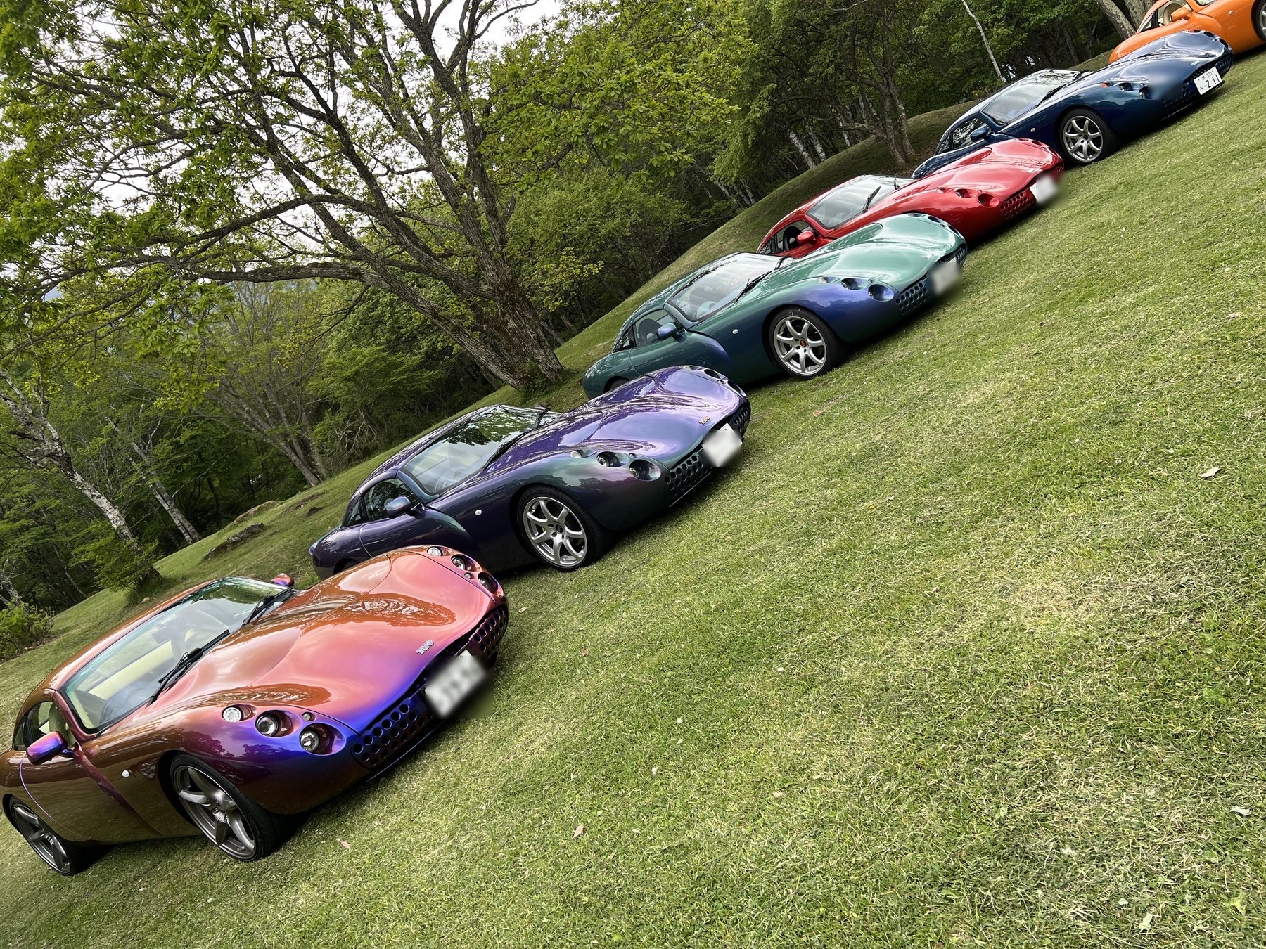 芝生に並ぶTVRタスカン。手前はカスケードインディゴの個体
